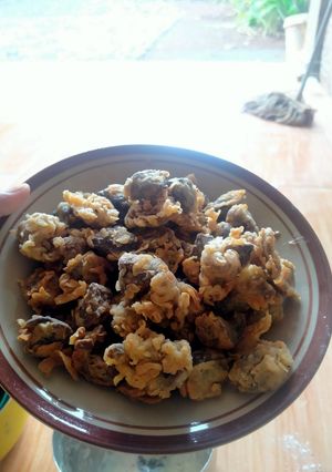 Foto resep Ati+rempelo crispy