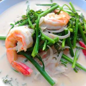 ต้มกะทิผักกูดกับกุ้งสด