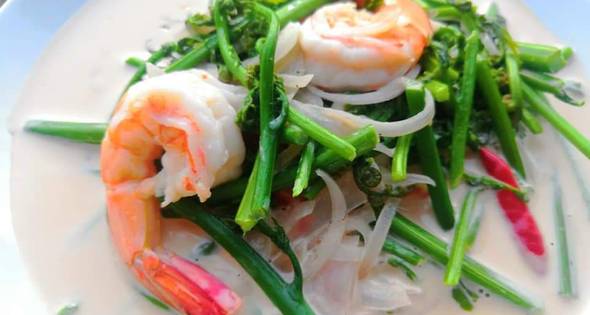 ต้มกะทิผักกูดกับกุ้งสด