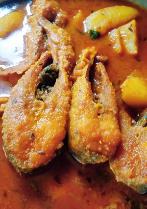 চিতল মাছের তেল ঝাল (chitol macher tel jhal recipe in bengali) রেসিপির প্রধান ছবি