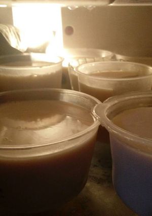 Foto resep Pudding ala kadarnya