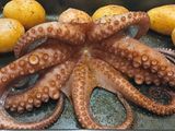 Pulpo Cocido y Gratinado con especias Cajún