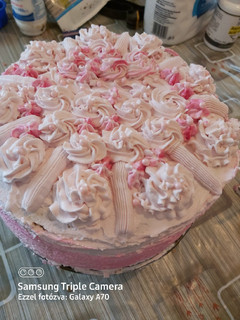 Gyümölcsös túró torta recept fotója