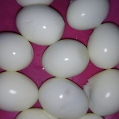 A picture of Dafaffen kwai.