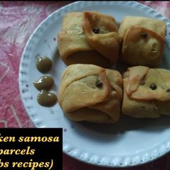 A picture of Chicken samosa parcels.