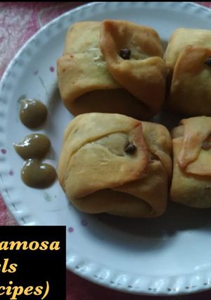 A picture of Chicken samosa parcels.