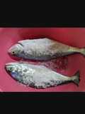 Ikan Masin
