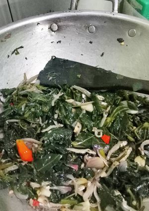 Foto resep Oseng-oseng daun pepaya+teri no pahit ya