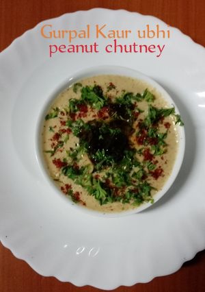A picture of Peanut chutney 🥥🧅🧄🌶️🥜.