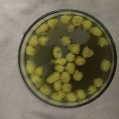 A picture of Gol Gappa ka pani.