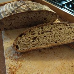 A picture of Slow fermented (non retarded) wholemeal sourdough.