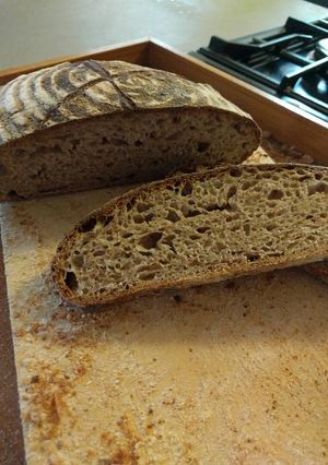A picture of Slow fermented (non retarded) wholemeal sourdough.