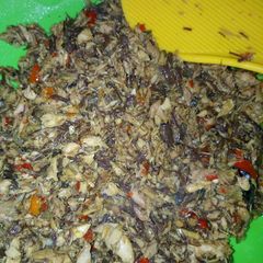 A picture of Fish sauce.