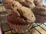 cocoa muffins