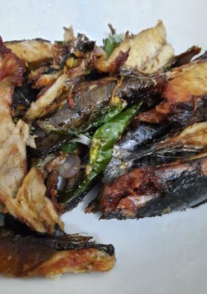 Foto resep Tongkol suir goreng