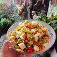Tumis sayur warna warni untuk menu diet
