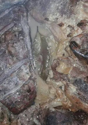 Una foto de Tapa de asado tierna exquisita