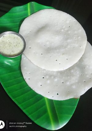 A picture of Soft Dosa.