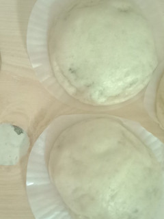 Foto resep Bakpao 60 menit