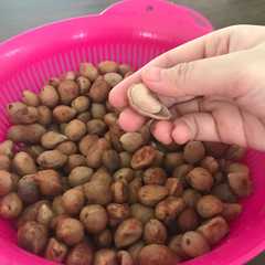 Kacang bogor rebus empuk রেসিপির প্রধান ছবি