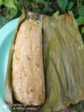 Calon ikan teri