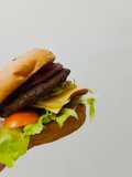 Burger SD Naik Level