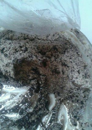 Una foto de Helado de galletas Oreo