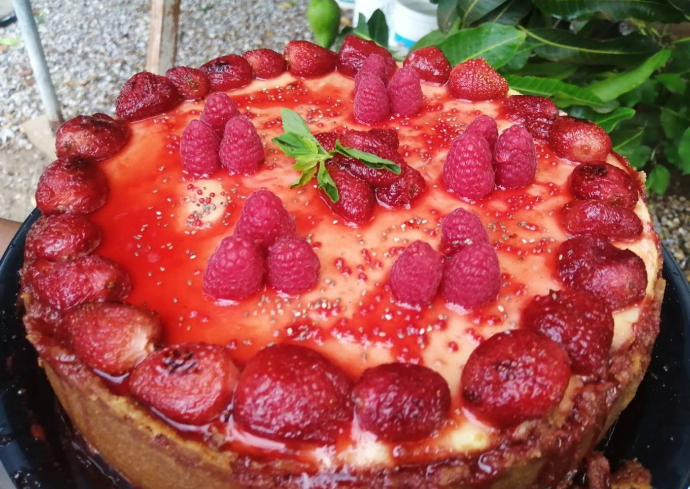 New York cheesecake