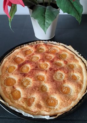 Une photo de 🍑 Tarte aux abricots et à la crème d'amande 🥧😋