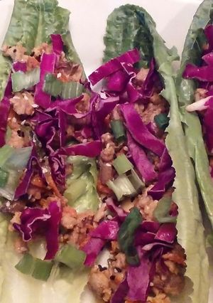 A picture of Thai Style Lettuce Wraps.