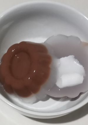 Foto resep Pudding Coklat Kelapa