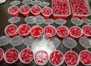 Gambar Agar-agar nata de coco