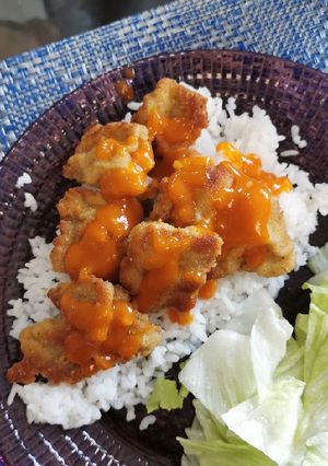 Una foto de Donkatsu