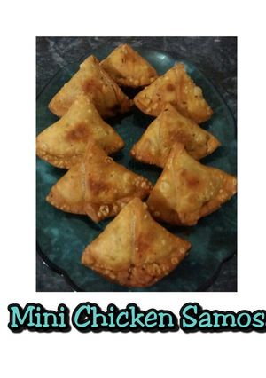 A picture of Mini chicken samosa.