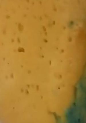 A picture of Milk sweet.