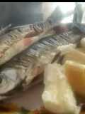 Bocachico y  Bocachico.🤠👩‍🌾