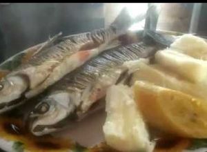 Una foto de Bocachico y  Bocachico.🤠👩‍🌾