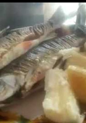 Una foto de Bocachico y  Bocachico.🤠👩‍🌾