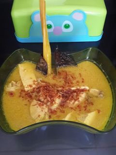 Foto resep Opor Tahu ayam syan syan