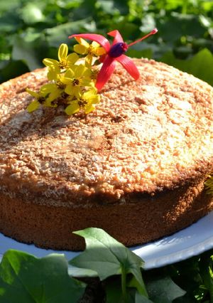 Una foto de Torta de naranja con bagazo de coco y dulce de leche❤