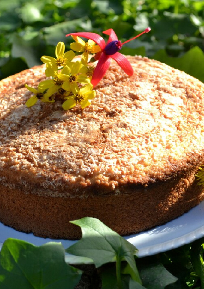 Una foto de Torta de naranja con bagazo de coco y dulce de leche❤