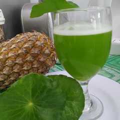 A picture of Jus nanas pegagan.