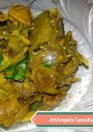 Foto resep 016. Resep Ati Ampela Tumis Kecap