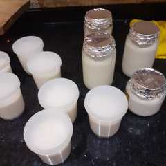 Una foto de Yogurt casero