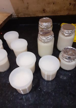 Una foto de Yogurt casero