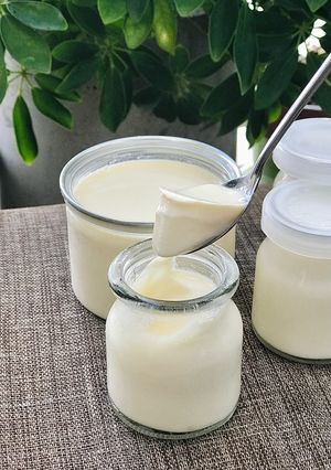 A picture of Thick and Creamy Yogurt, Fermented in a Rice Cooker Without Water or Electricity.