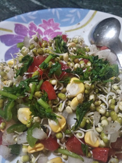 પ્રોટીન સલાડ (Protein Salad Recipe In Gujarati) રેસીપી મુખ્ય ફોટો