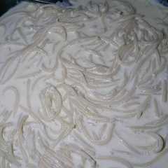 A picture of SPAGHETTI BLANCO 🧡.