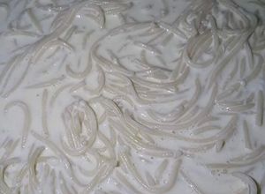 Una foto de SPAGHETTI BLANCO 🧡