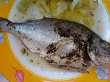 Τσιπούρα στη γάστρα
